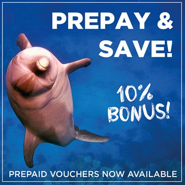 Buy a prepay voucher and receive 10% bonus!